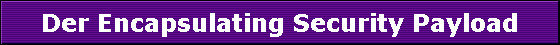 Der Encapsulating Security Payload