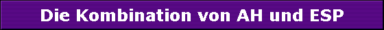 Die Kombination von AH und ESP